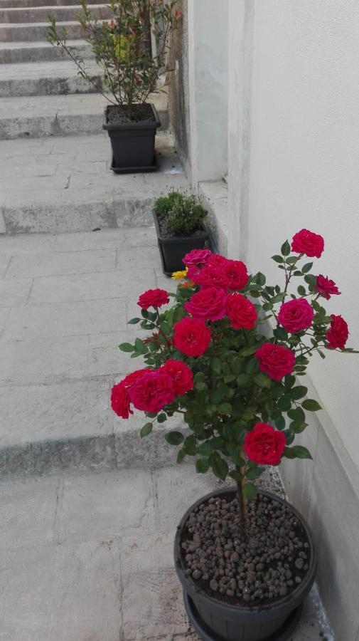 Only For Two Giumbabulla Hotel Ragusa Luaran gambar