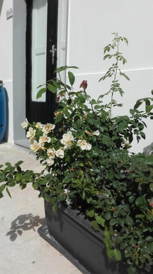 Only For Two Giumbabulla Hotel Ragusa Luaran gambar